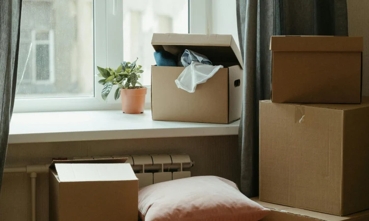 Tips pindahan kost, Sumber: pexels.com