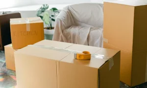 Packing pindahan, Sumber: pexels.com