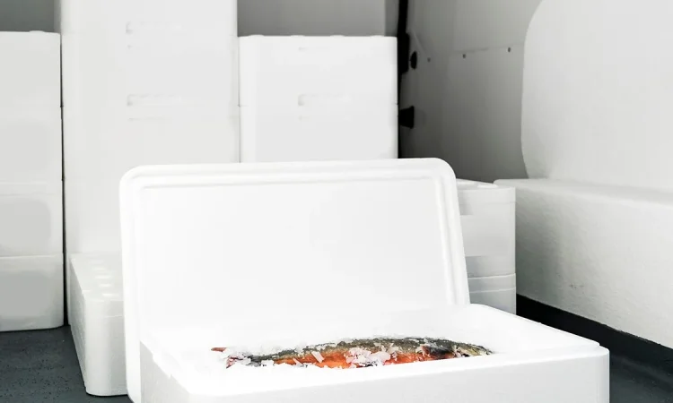 Ikan beku, Sumber: lalamove.com